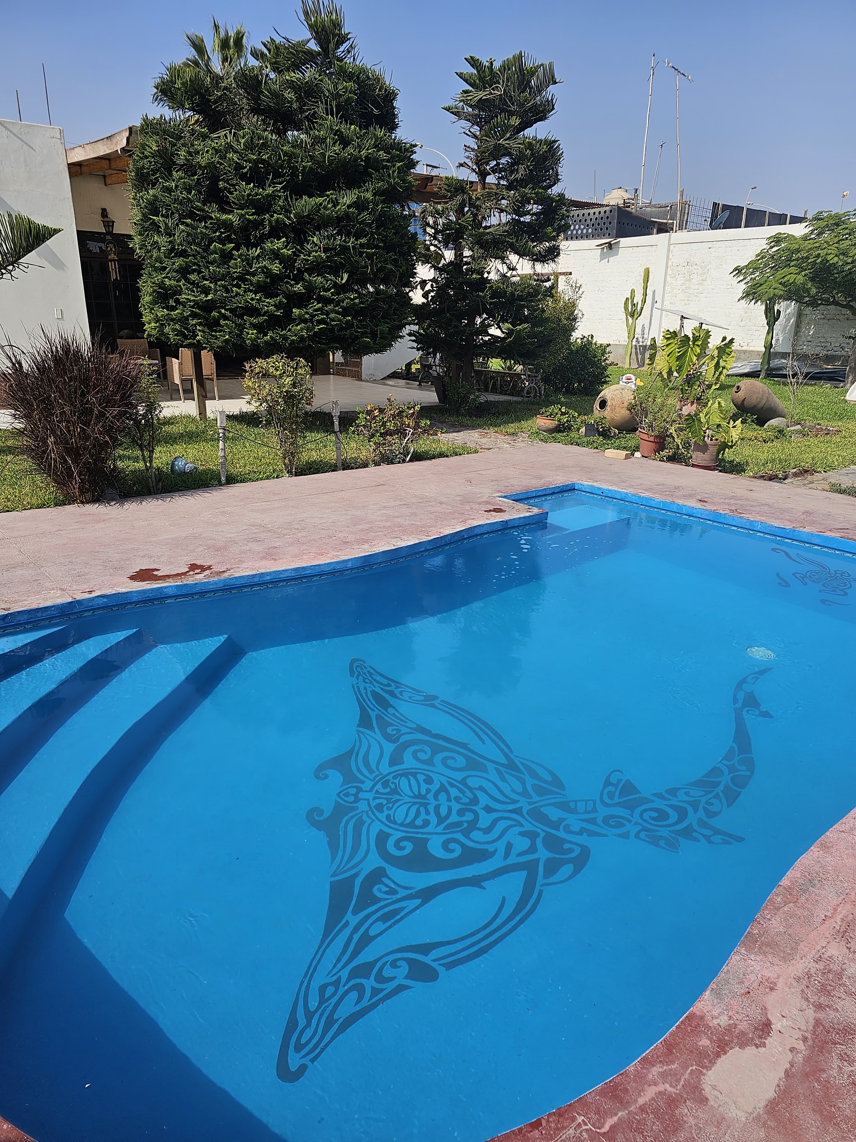 Piscina para natación y relajación